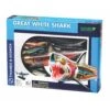 Great White Shark Anatomy Model 2 Great White Shark Anatomy Model -Children Toy Store great white shark anatomy model hands on thames and kosmos 274