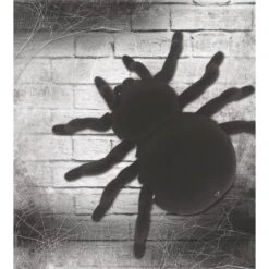 RC Wall Climbing Tarantula -Children Toy Store rc wall climbing tarantula gadget store 321